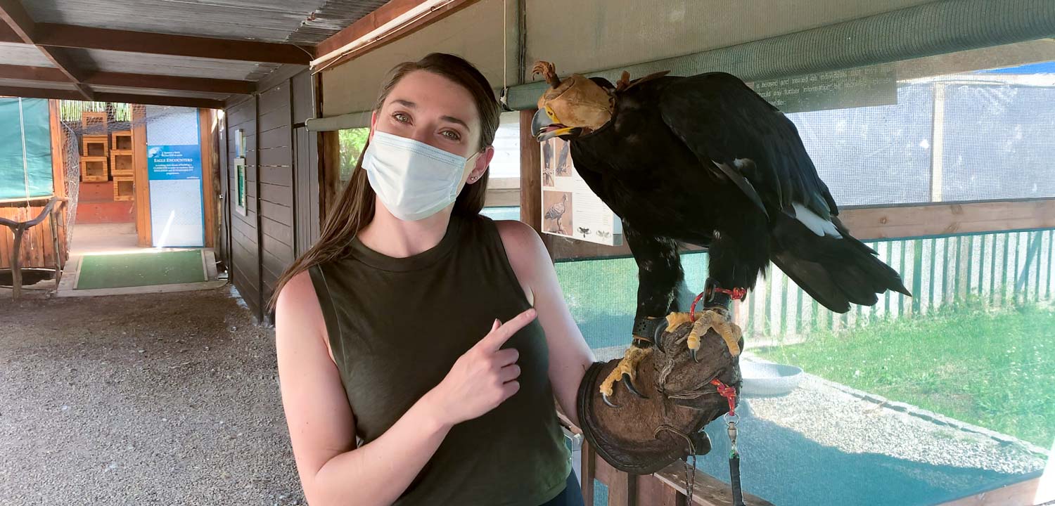 Annemarie Horne holding Leo the Black Eagle at Eagle Encounters Stellenbosch