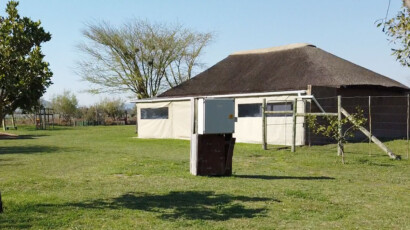 Tje 100 square metre thatched roof lapa is available for kiddies' parties, functions and talks. Giraffe House Lapa