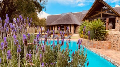 They have 10 treatment rooms, a couples treatment room, and even a group treatment room. Lavender flowers next to a pool