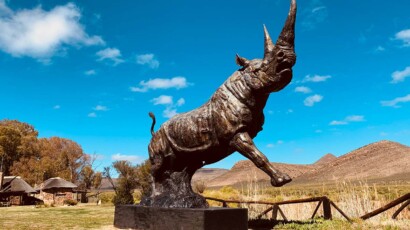 White rhinos have a wide, flat, broad mouth with square lips while black rhinos have beak-shaped lips. Rhino statue at Aquila Game Reserve