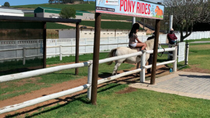 Pony rides are a safe and fun activity to add to your strawberry picking adventure. Pony rides at Polkadraai Farm